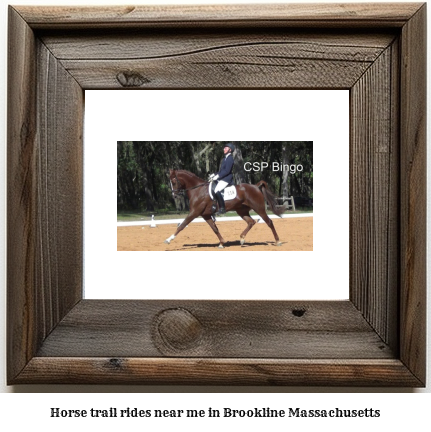 horse trail rides near me in Brookline, Massachusetts